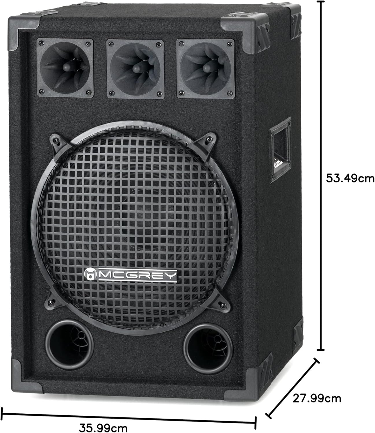 Enceinte Passive DJ PA Sono Haut-Parleur Subwoofer 12'' (30cm) Chassis Bois 600W