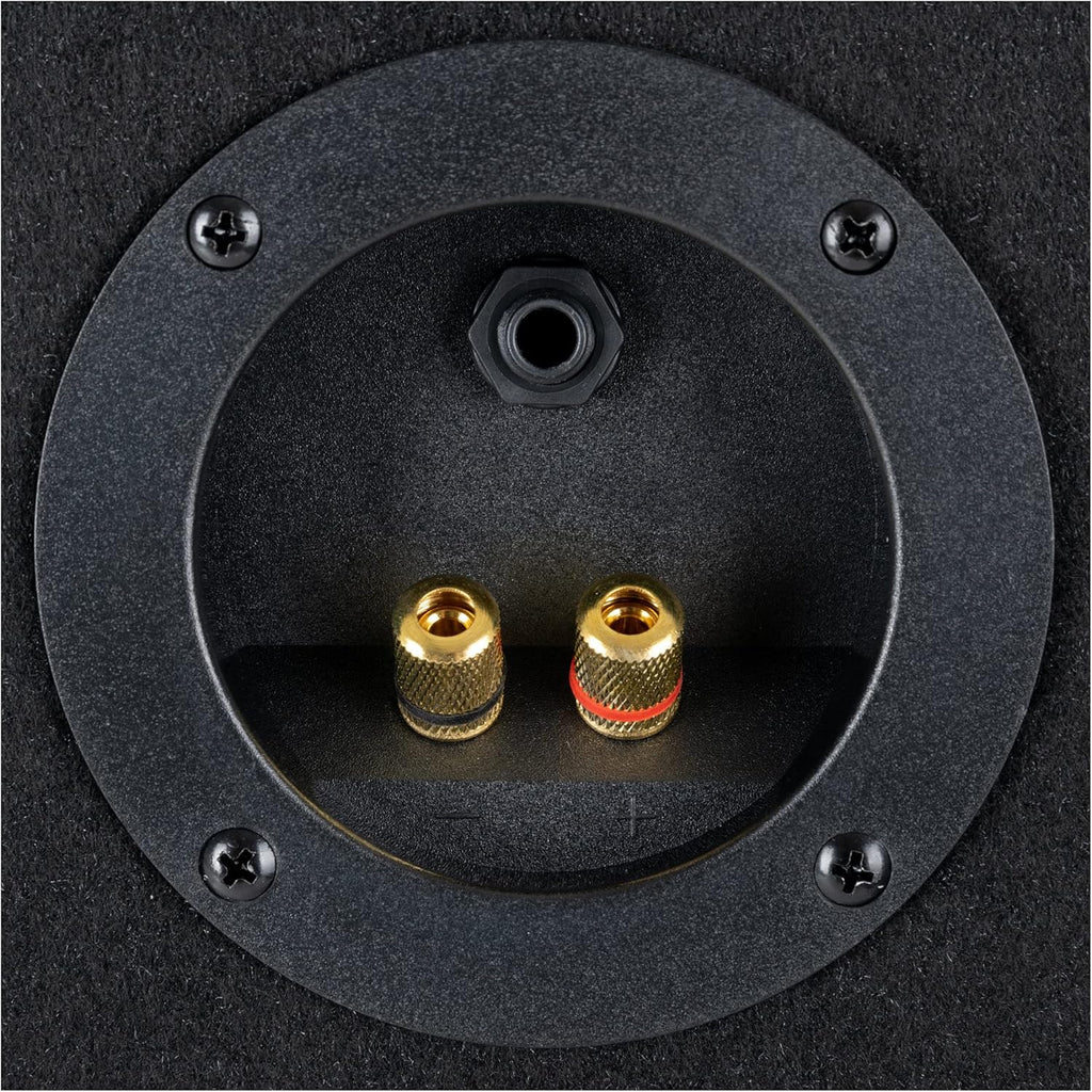 Enceinte Passive DJ PA Sono Haut-Parleur Subwoofer 10'' 25cm Chassis Bois 400W