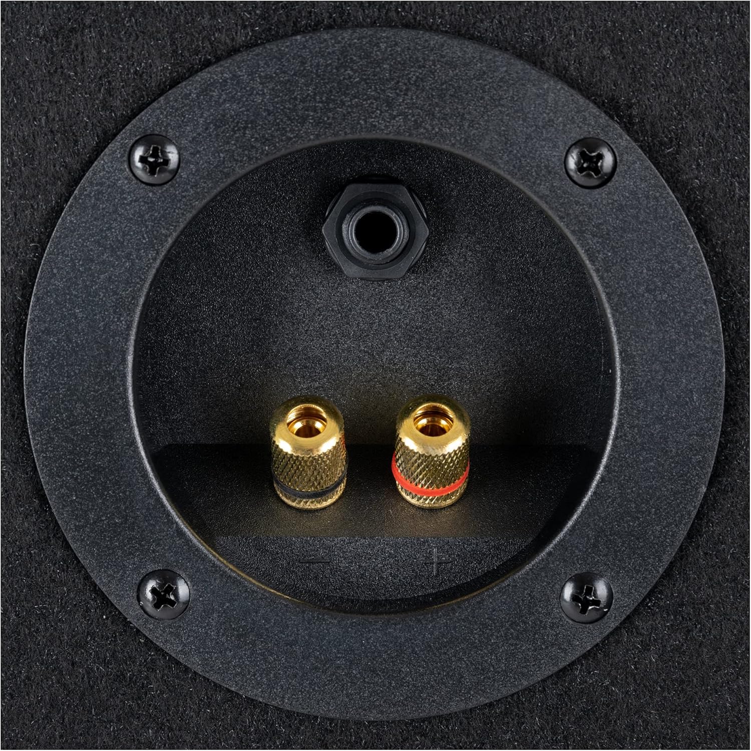 Enceinte Passive DJ PA Sono Haut-Parleur Subwoofer 10'' 25cm Chassis Bois 400W