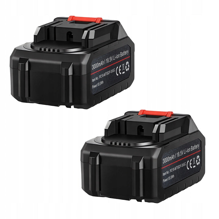 Souffleur de feuilles électrique sans fil 400 W 21 V 2 batteries