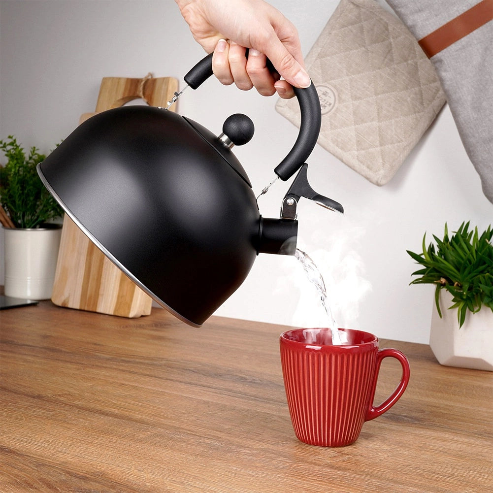 Bouilloire sifflante en acier noir 3 litres