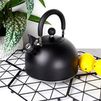 Bouilloire sifflante en acier noir 3 litres