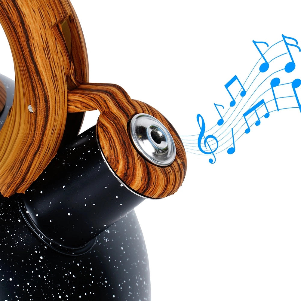 Bouilloire sifflante en acier noir  3 litres