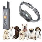 Collier de dressage pour chien étanche 4 modes 800M rechargeable