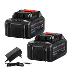 Ensemble 3 en 1 : Tronçonneuse sécateur sans fil + perche + chargeur 2 batteries