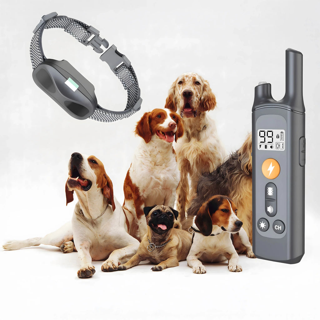 Collier de dressage pour chien étanche 4 modes 800M rechargeable