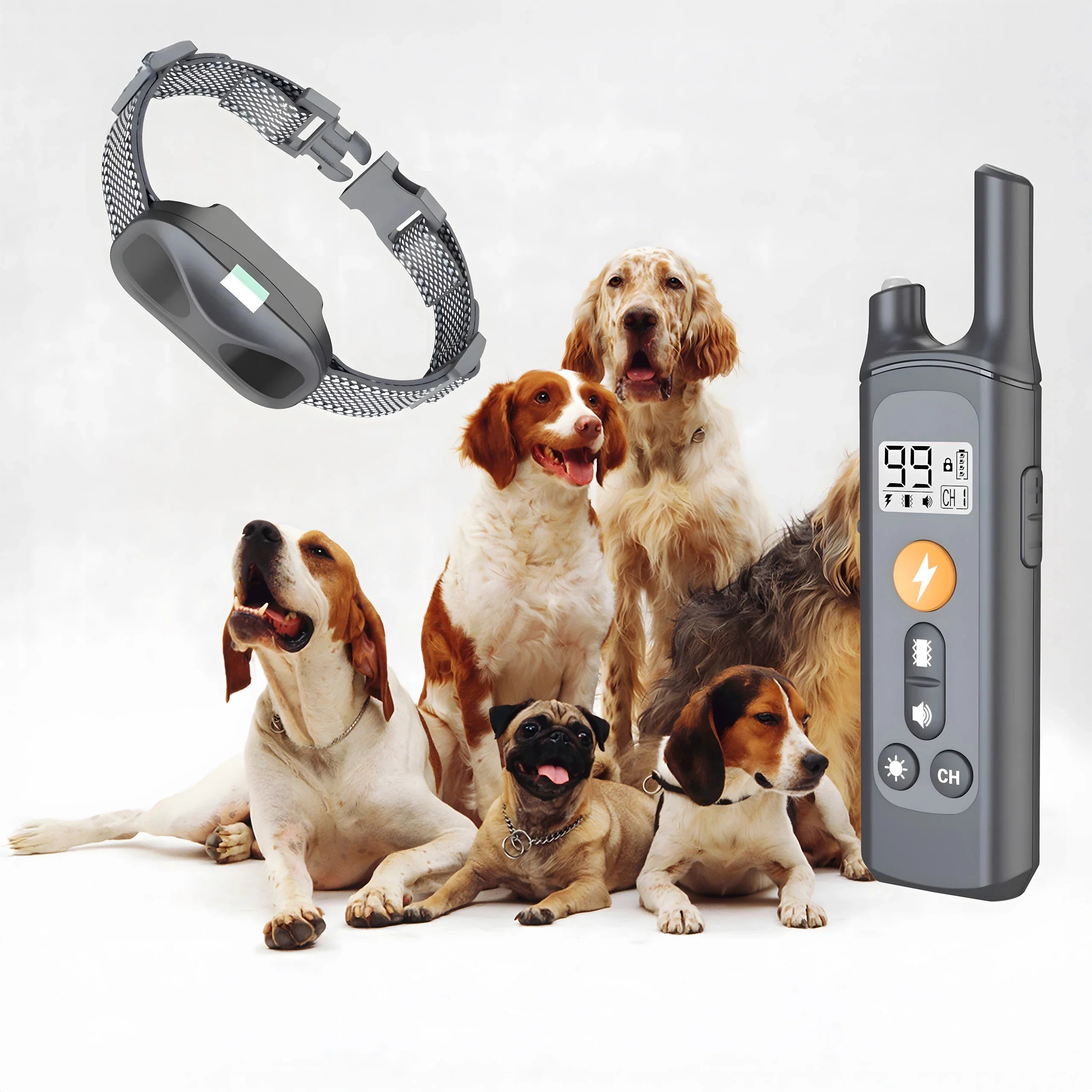 Collier de dressage pour chien étanche 4 modes 800M rechargeable